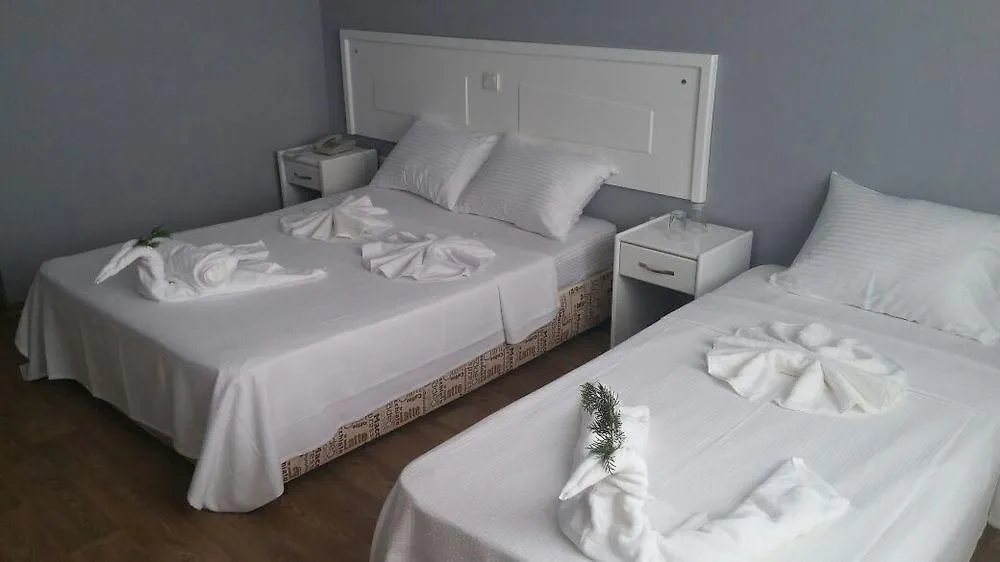 Adrian Beach Hotel フェティエ